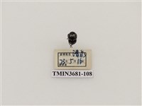 藏品(雙帶廣螢金花蟲)的圖片